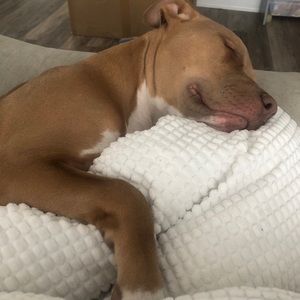 Meet your Posher, Katelynn